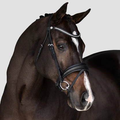 Lumiere Melody Bridle