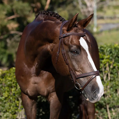Delaney Snaffle Bridle