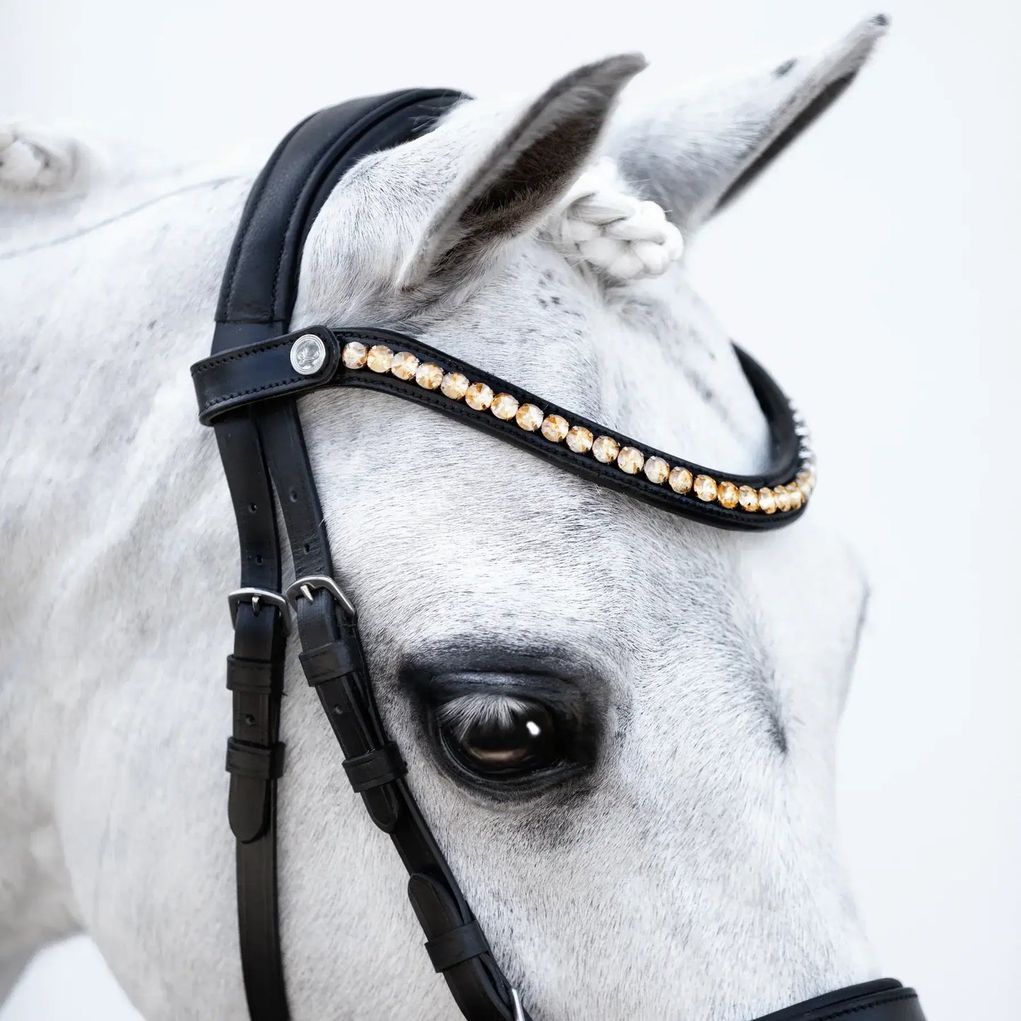 Iddy Biddy Bitless Pony Bridle