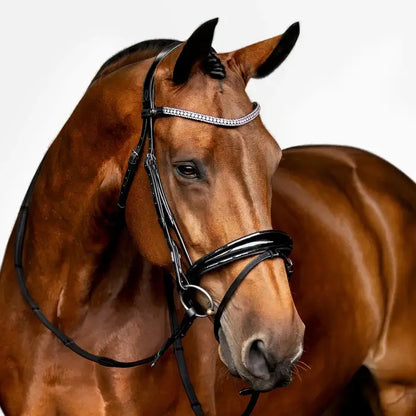 Horse wearing the Amie Flat Leather Bridle with black patent noseband and crystal wave browband.