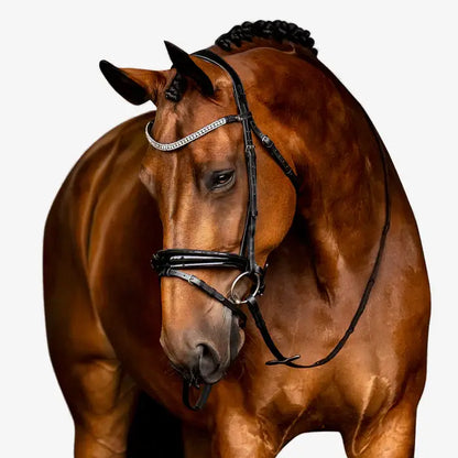 Amie Flat Leather Bridle on a brown horse showcasing the elegant crystal wave browband and padded noseband.