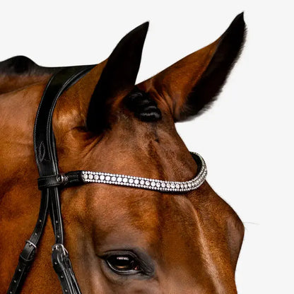 Close-up of a horse's head featuring a crystal wave browband and black leather bridle, emphasizing elegance and style.