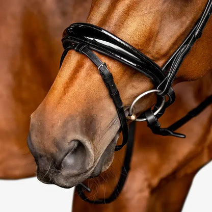 Close-up of a horse's muzzle wearing an Amie flat leather bridle with a shiny black patent noseband.