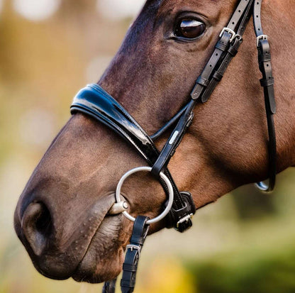 Aurelie Cavesson Rolled Leather Bridle