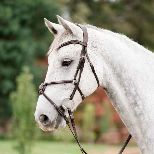 Ava Italian Leather Bridle