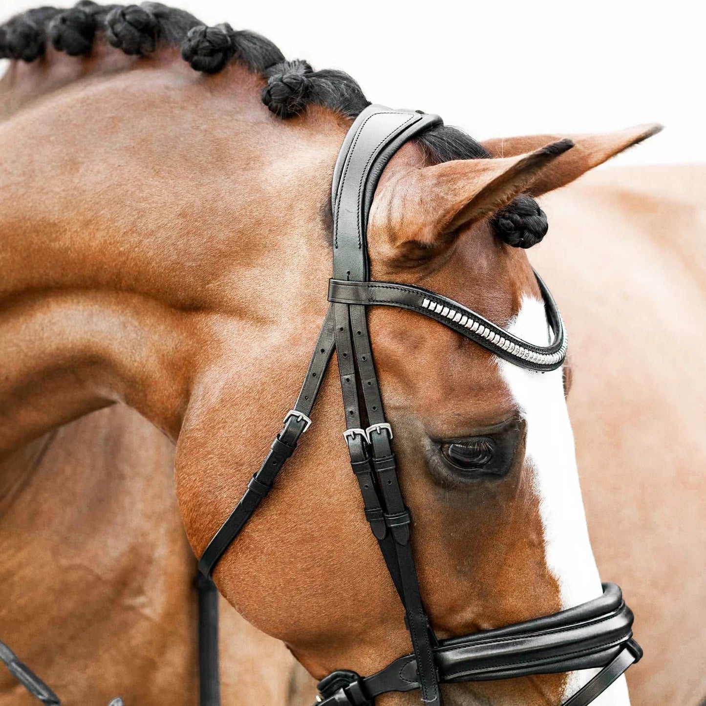 Melodie Classic Bridle