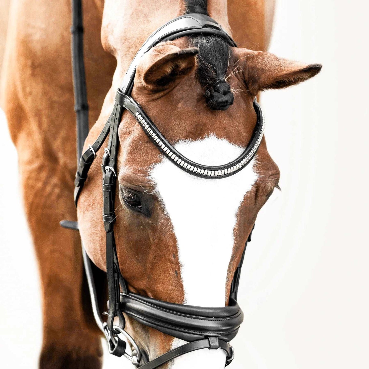 Melodie Clincher Browband