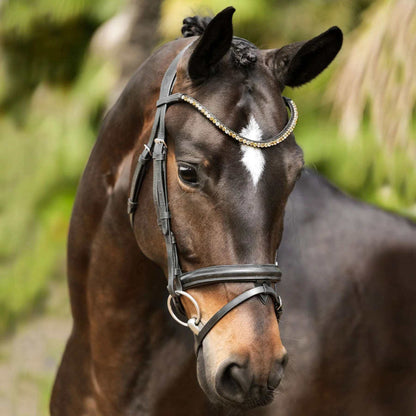 Megan Convertible Bridle