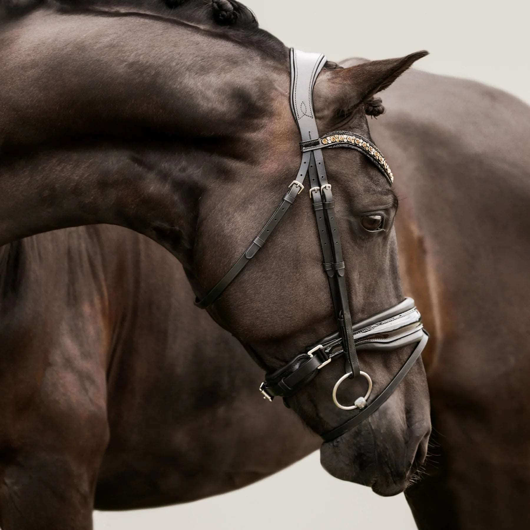 Ariana Snaffle Bridle