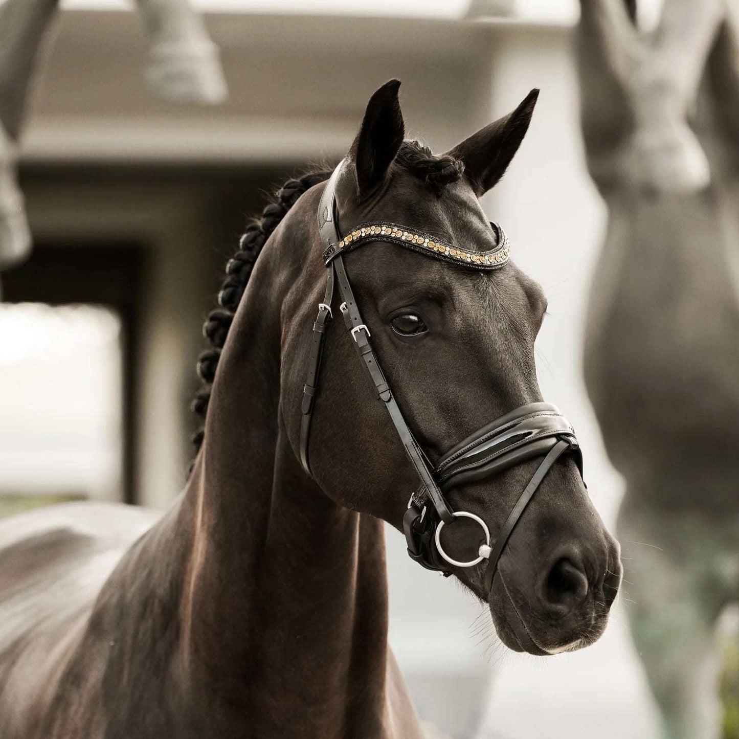 Ariana Snaffle Bridle