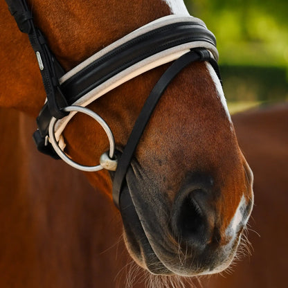 Sibella Hanoverian Bridle