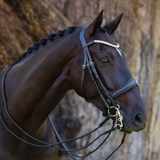 Madeline Italian Leather Double Bridle