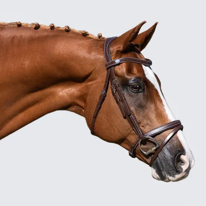 Delaney Snaffle Bridle
