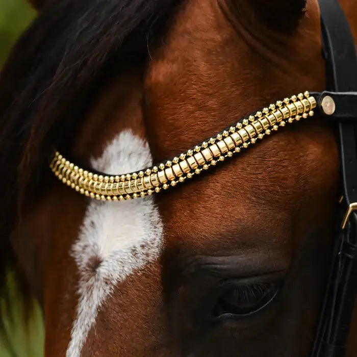 Elegant golden Delta browband with clincher-style centerpiece on a horse's head.