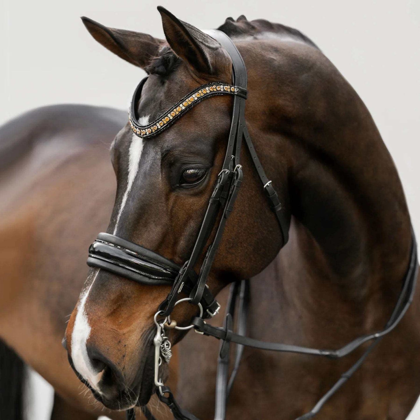 Ariana Double Bridle