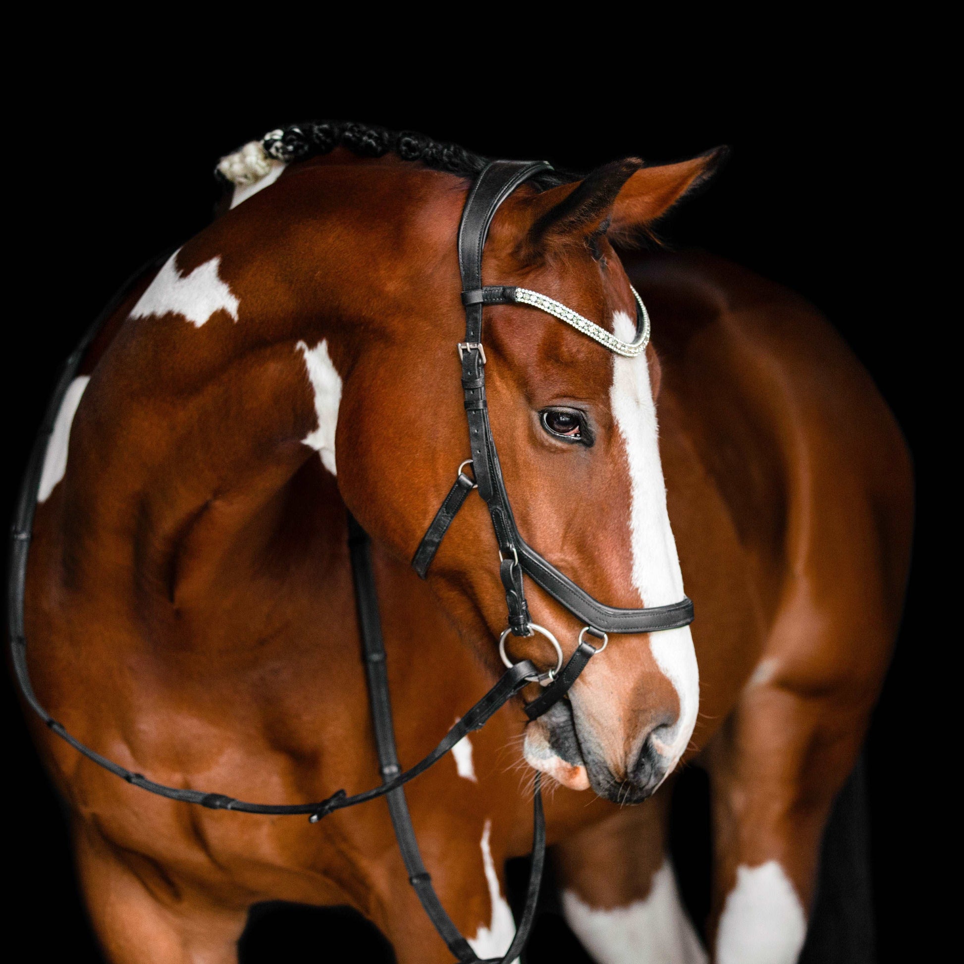 Azure Micklem Style Bridle