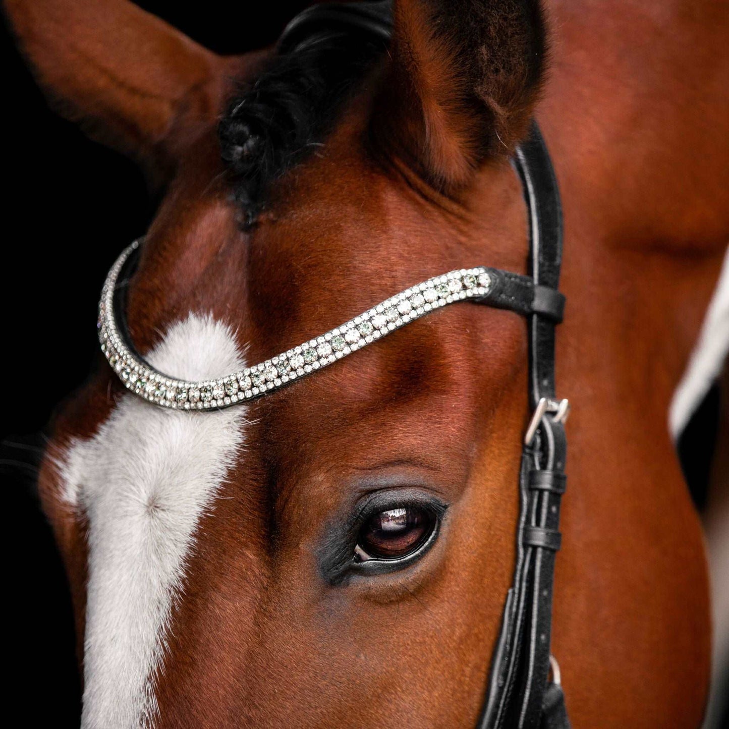 Azure Micklem Style Bridle