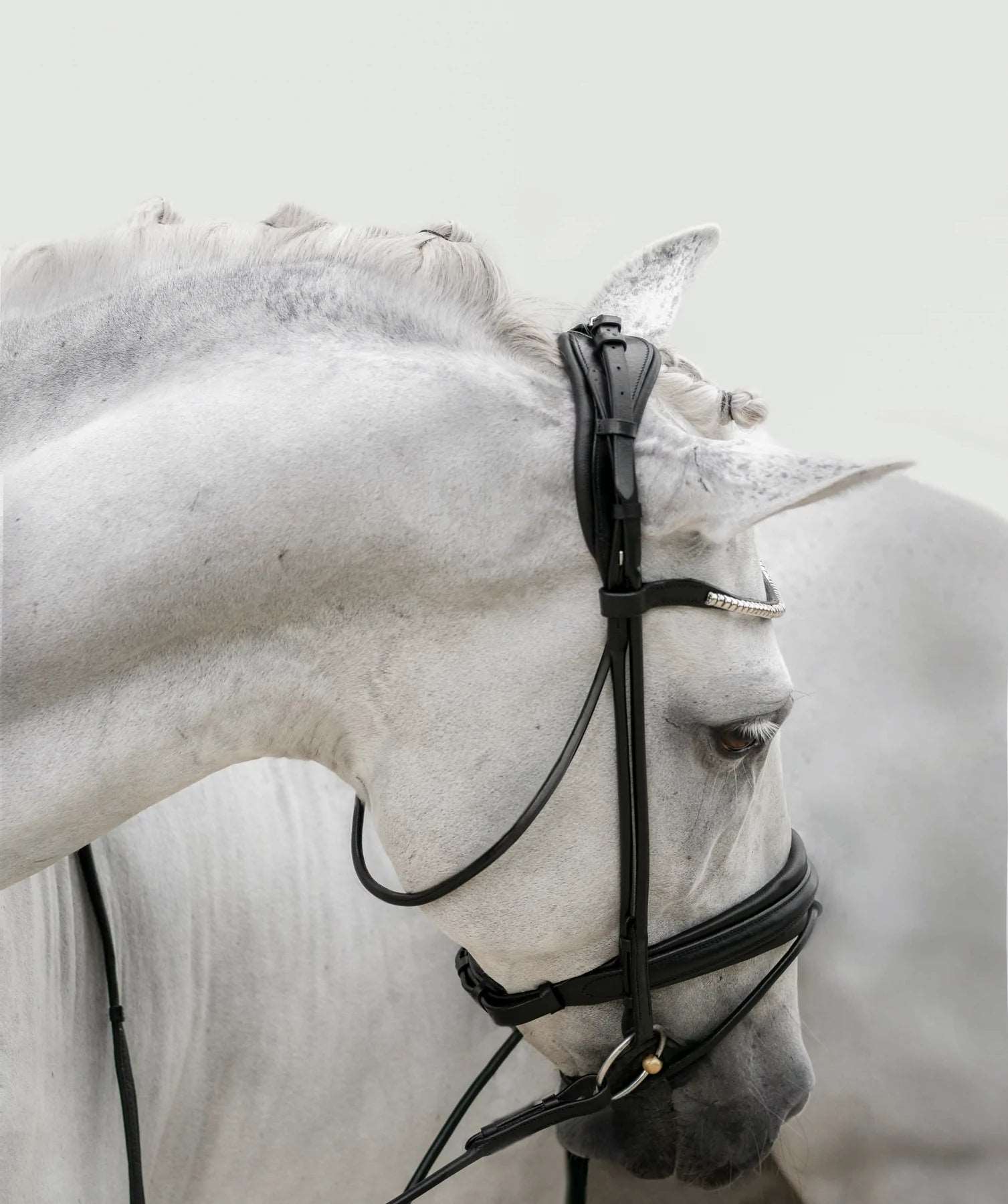 Mercie Rolled Patent Bridle