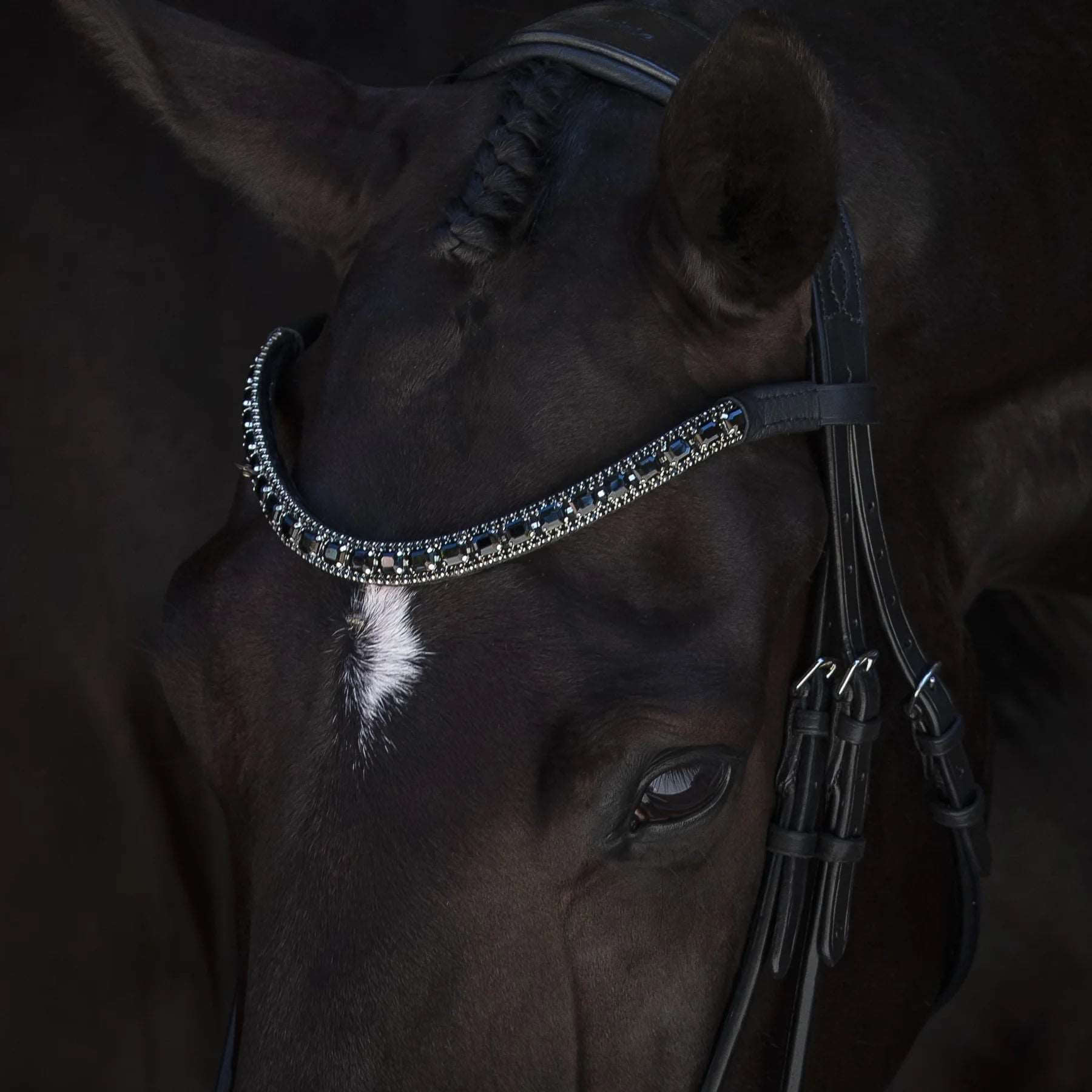 Onyx Crystal Browband