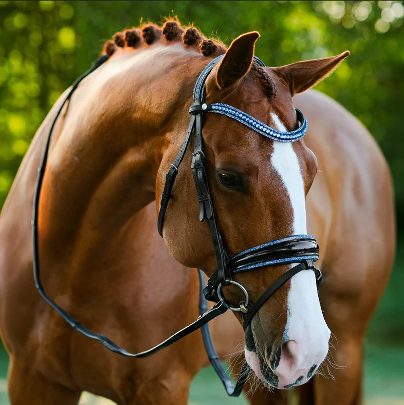 Lumiere Paris Bridle