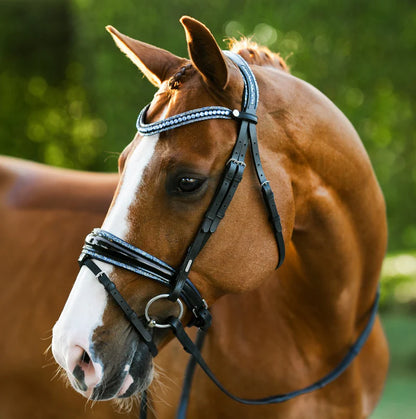 Lumiere Paris Bridle
