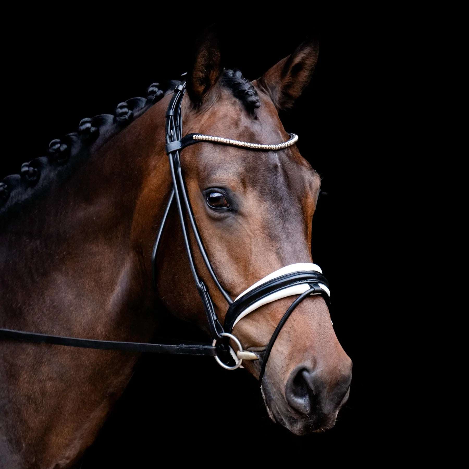 Mercie Rolled White Padded Bridle