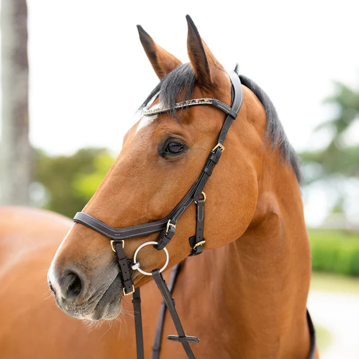 Amber Micklem Style Bridle