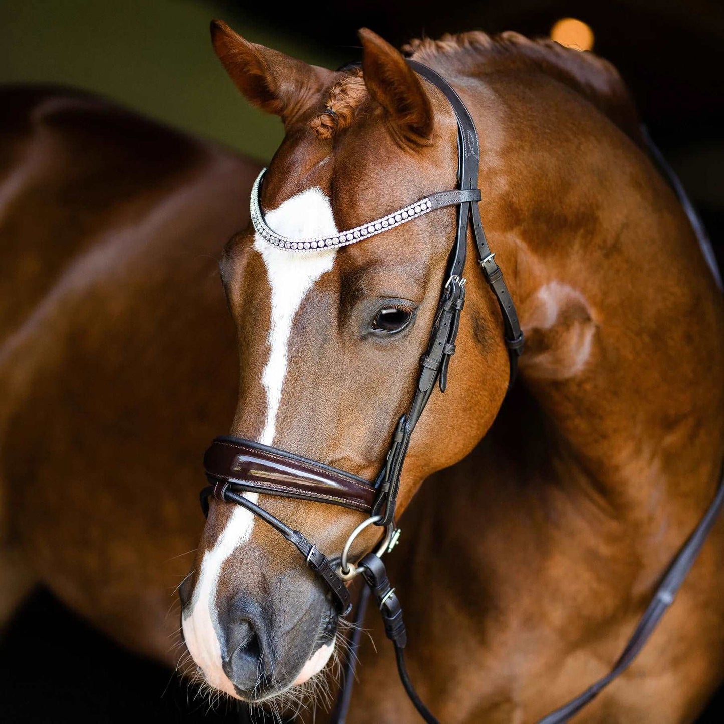 Amie Rolled Leather Hanoverian Bridle