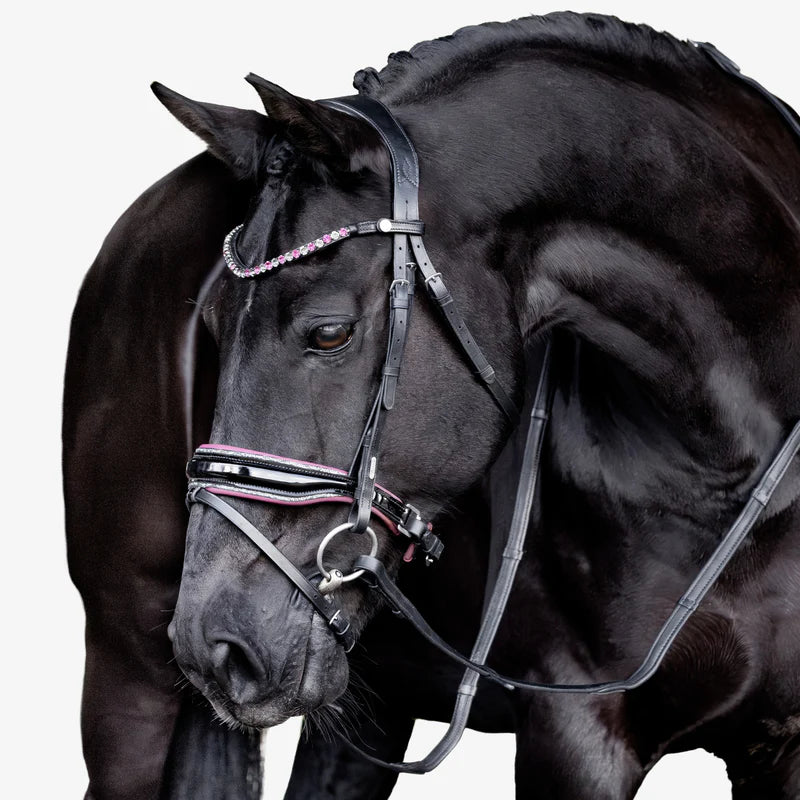 Lumiere Paloma Bridle