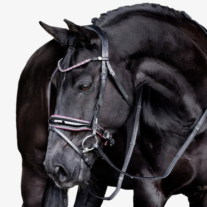 Lumiere Paloma Bridle