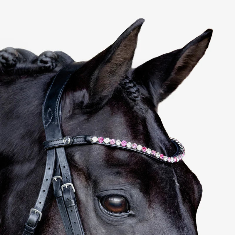 Lumiere Paloma Bridle