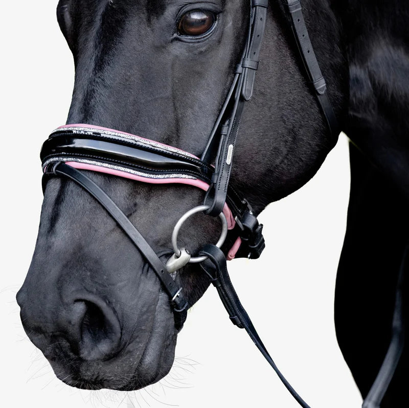Lumiere Paloma Bridle