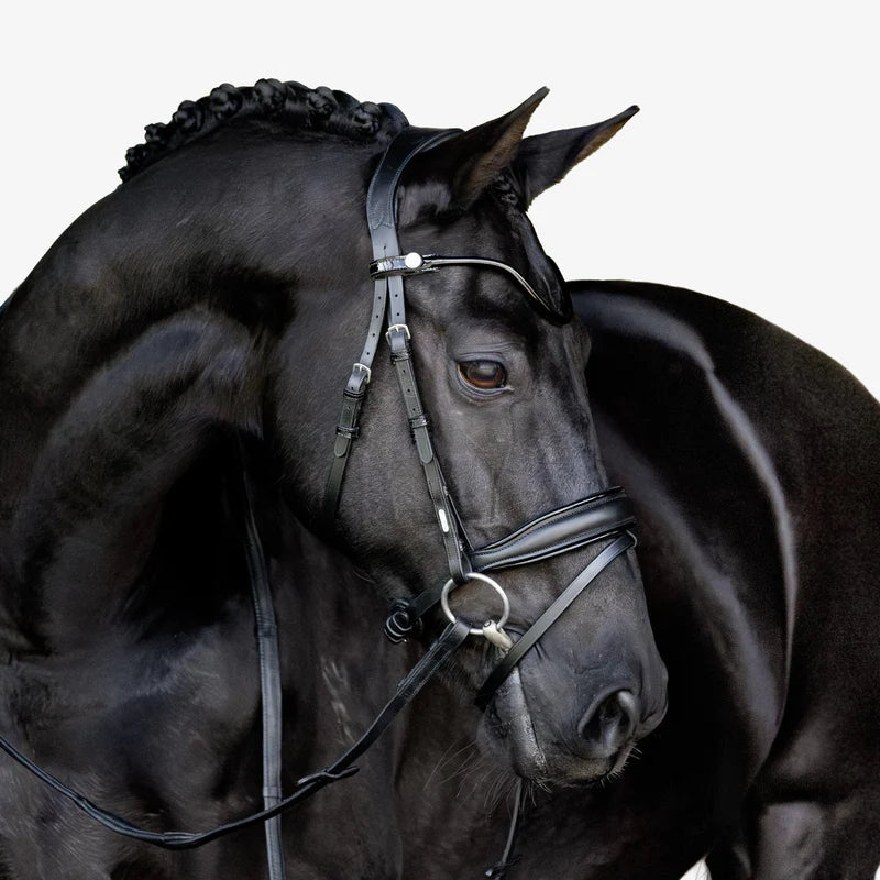 Lumiere Penny Bridle