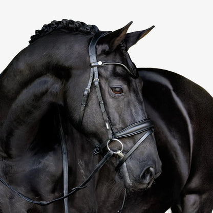 Lumiere Penny Bridle
