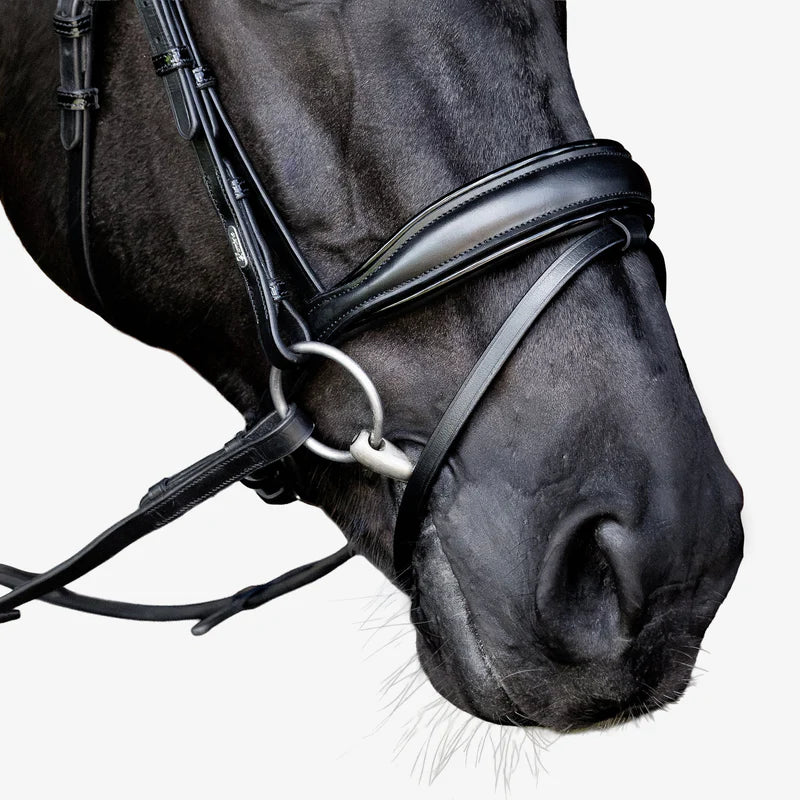 Lumiere Penny Bridle