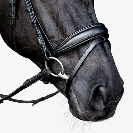 Lumiere Penny Bridle