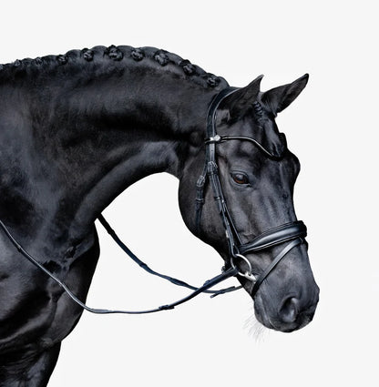 Lumiere Penny Bridle