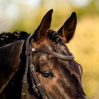 Lumiere Pia Bridle