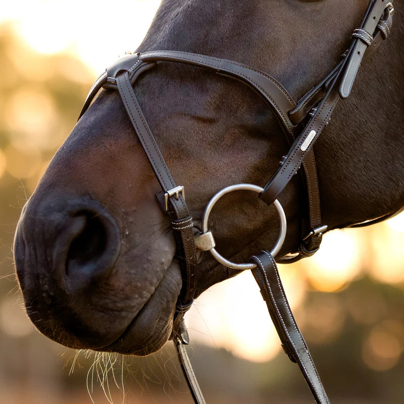 Lumiere Pia Bridle