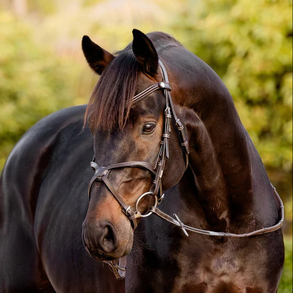 Lumiere Pia Bridle