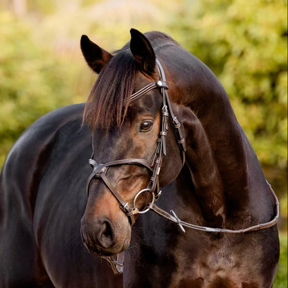 Lumiere Pia Bridle