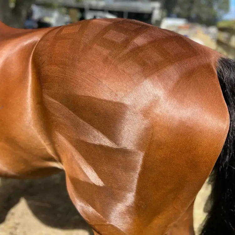 Eco Horse Quarter Mark Pro Spray