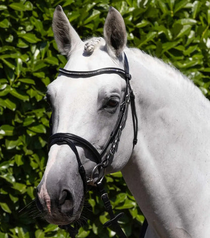 PE Rivere Bridle