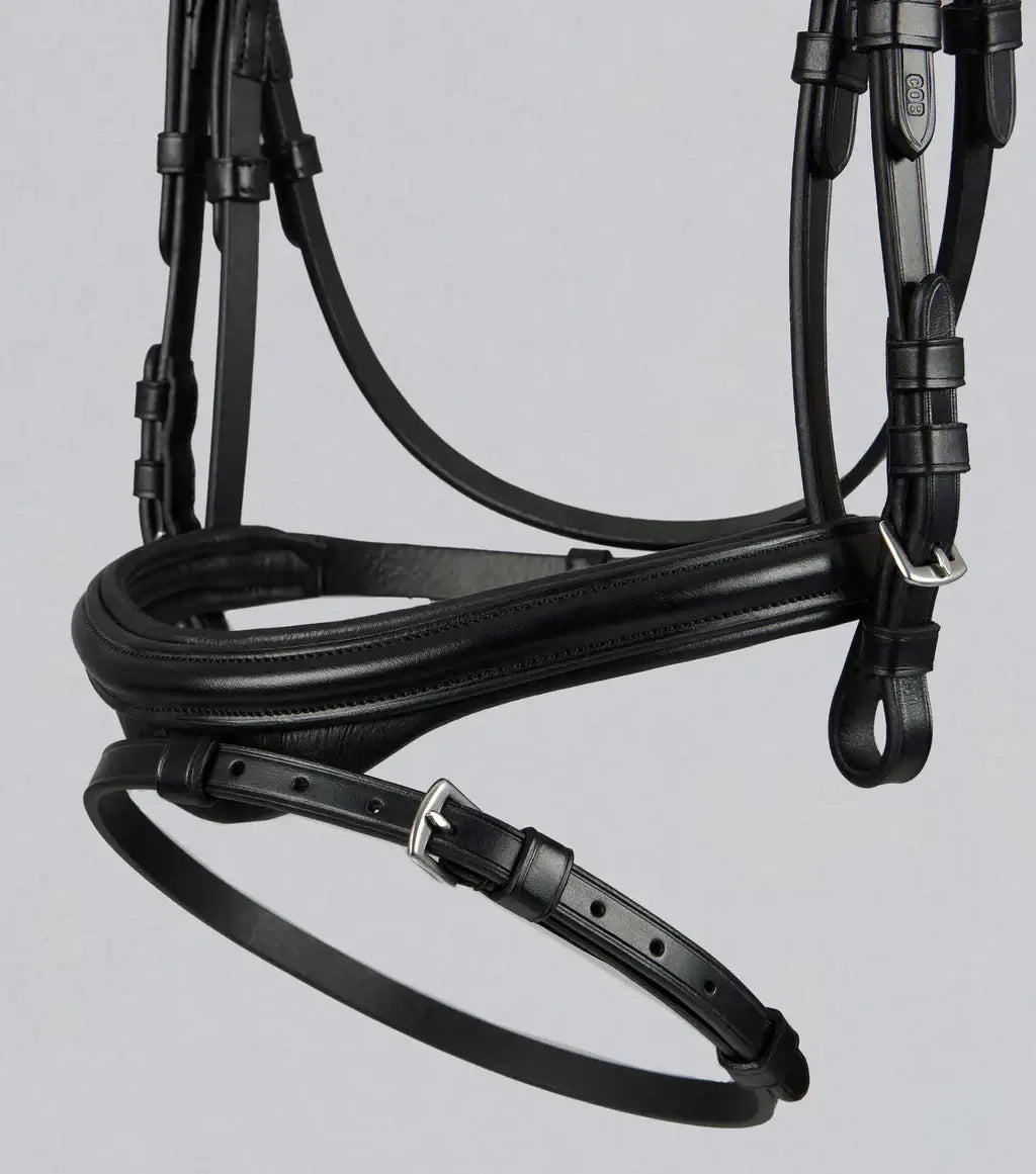 PE Rivere Bridle