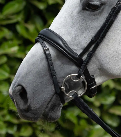 Close-up of a grey horse wearing a high-quality PE Rizzo fitted bridle, showcasing Italian leather and ergonomic design.