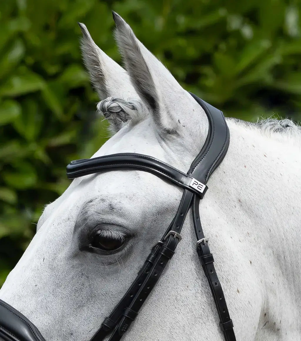 Close-up of a horse wearing a PE Rizzo bridle made of high-quality Italian leather, showcasing ergonomic design.