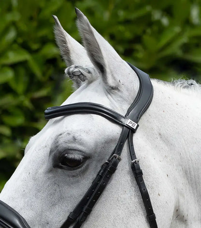 Close-up of a horse wearing a PE Rizzo bridle made of high-quality Italian leather, showcasing ergonomic design.