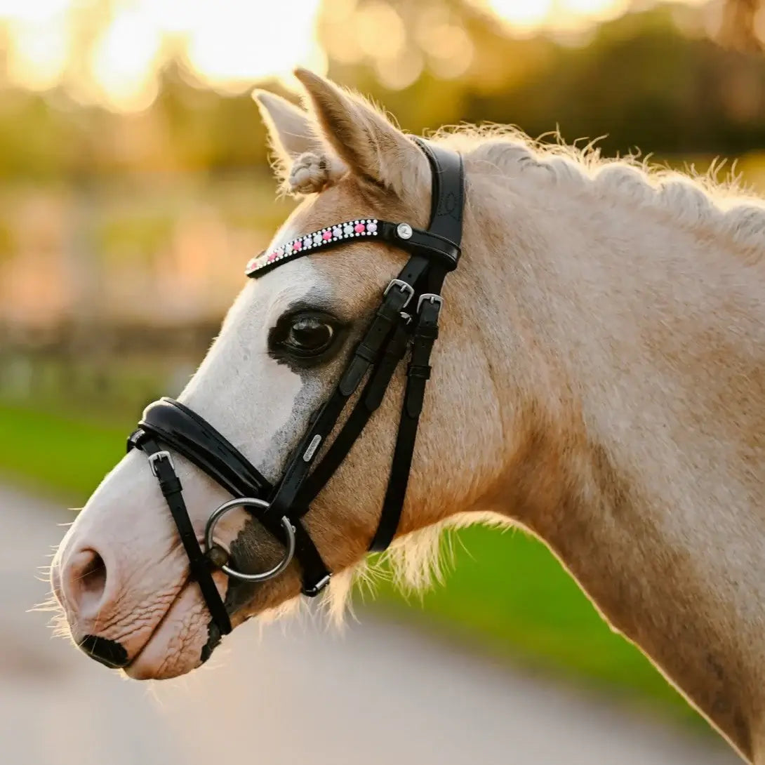 Unicorn Pony Bridle