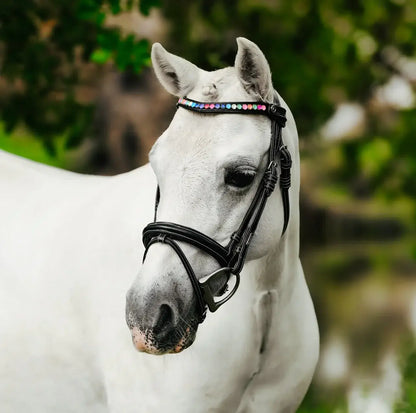 Rainbow Pony Bridle