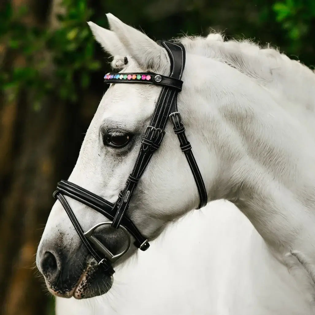 Rainbow Pony Bridle